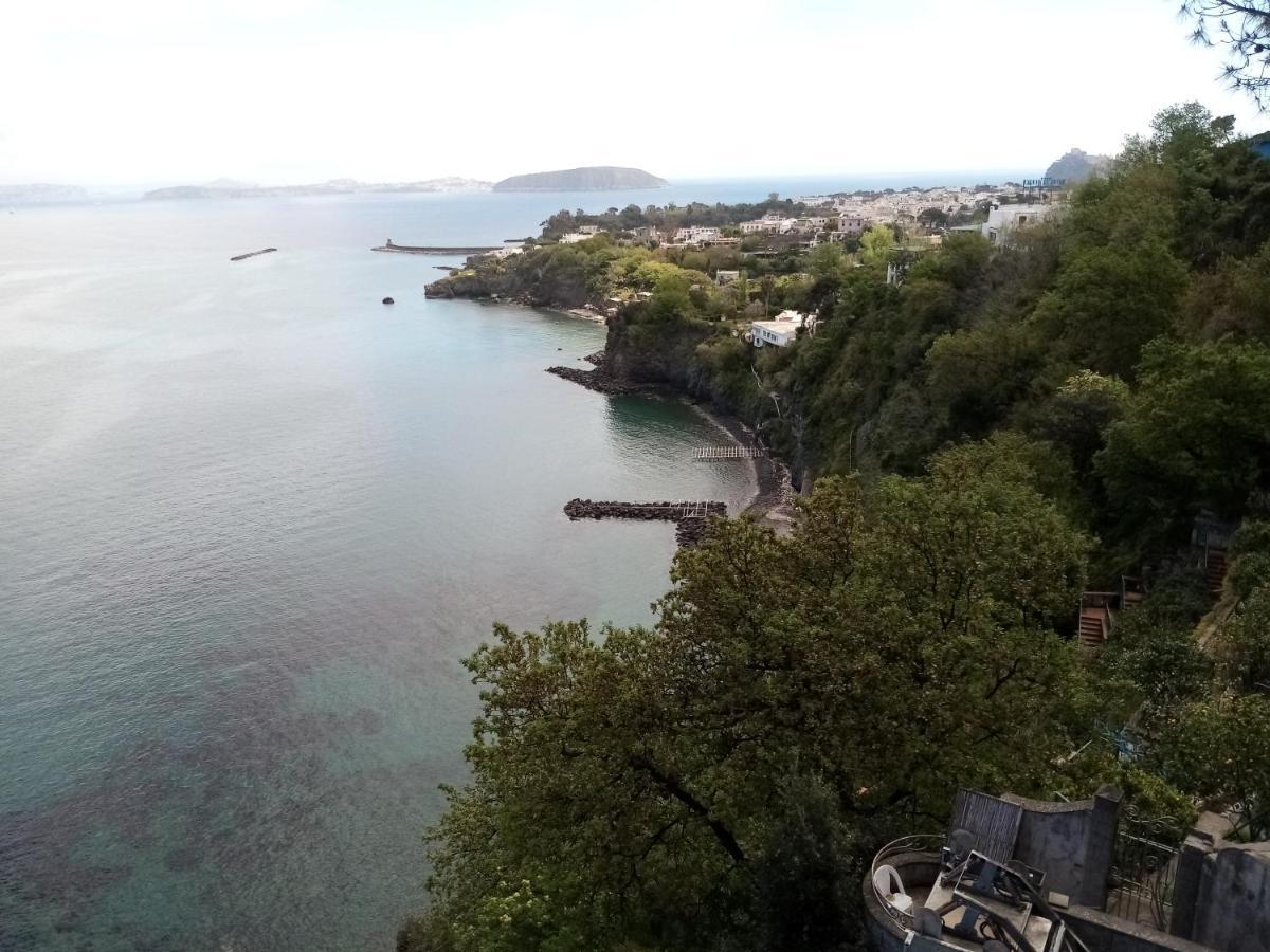 L'Incanto Suites Ischia Casamicciola Terme Kültér fotó
